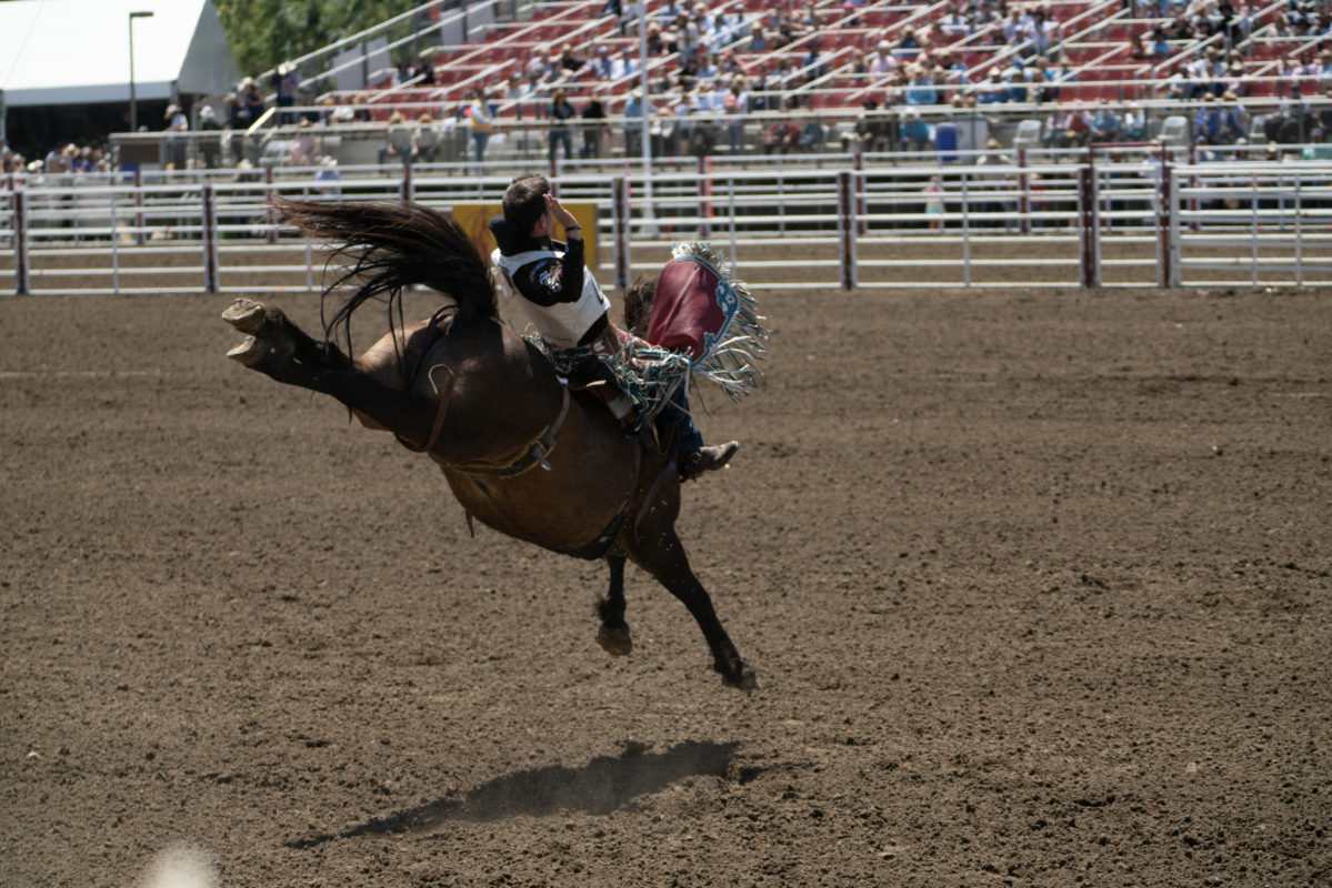 California Salinas Rodeo 2018